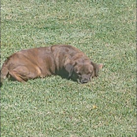 Meet your Posher, Michelle - Picture 3 of 4